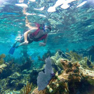 Adventure In Puerto Morelos