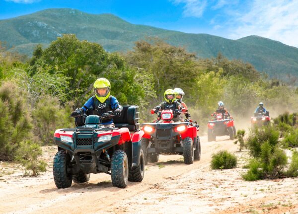 Atv Adventure Wisest