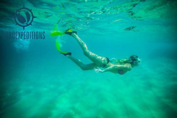 Beach Hopping Snorkeling