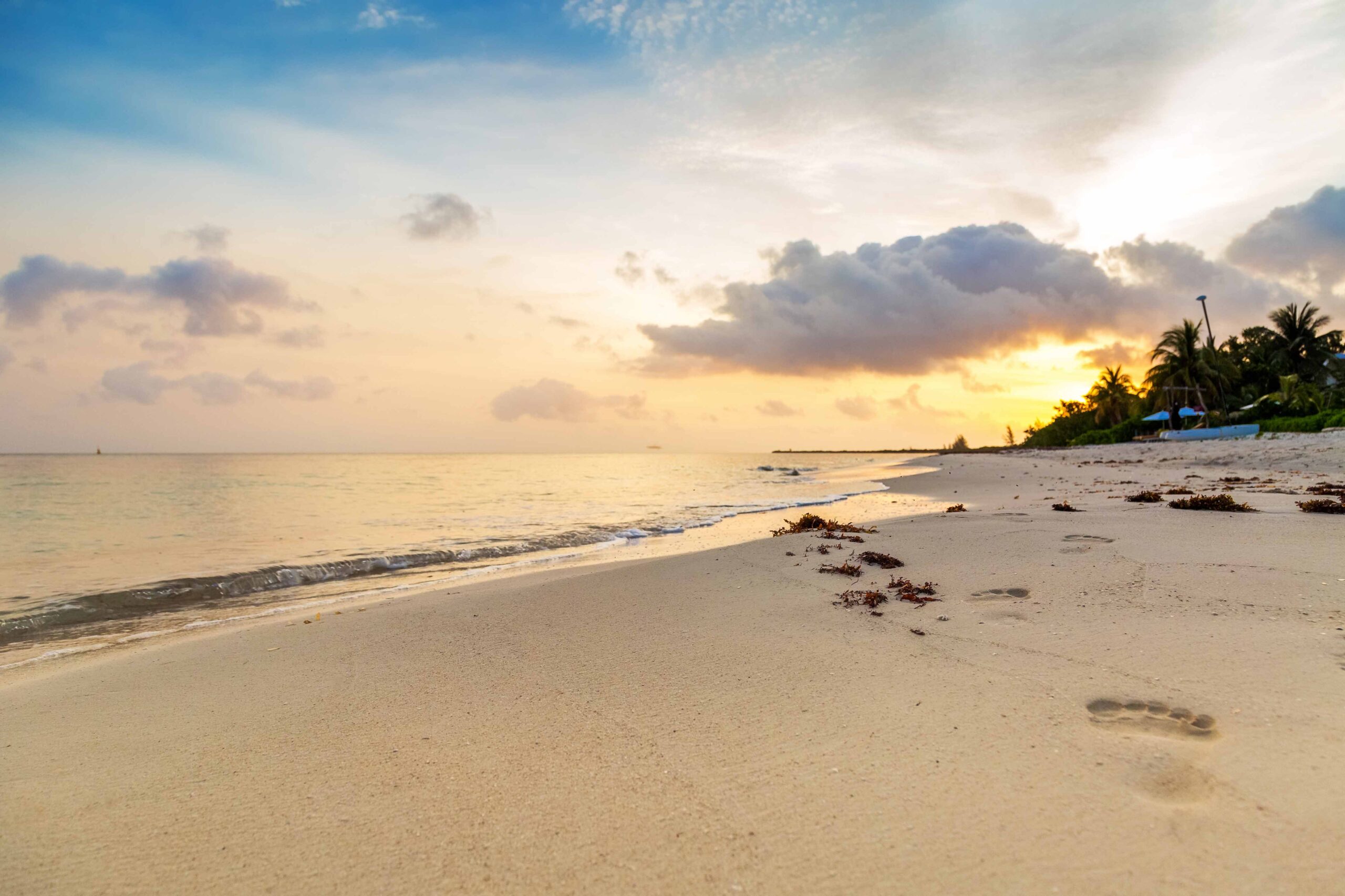 Cozumel Day Tour Cozumel Day Tour