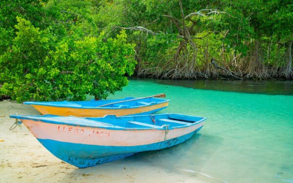 Los Haitises National Park Discovery Tour Wisest