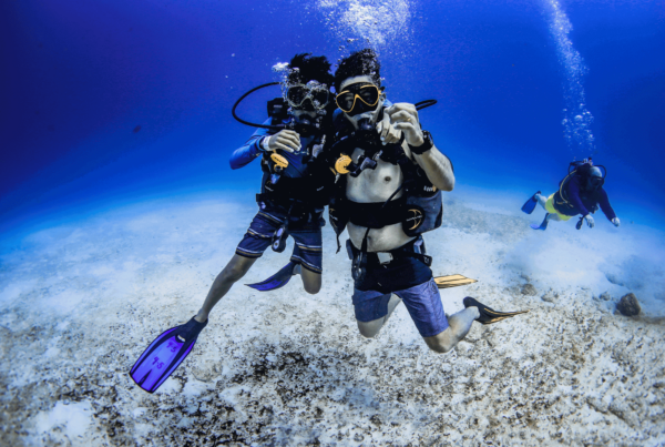 Night Snorkel Experience