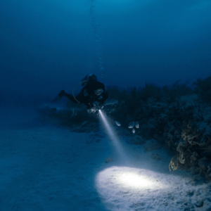 Night Snorkeling Wisest