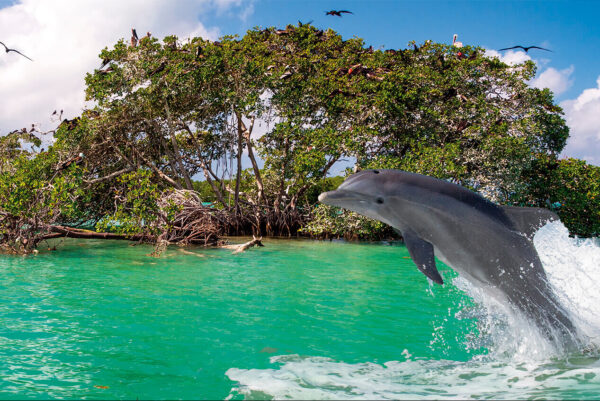 Sian Ka Natural Biosphere
