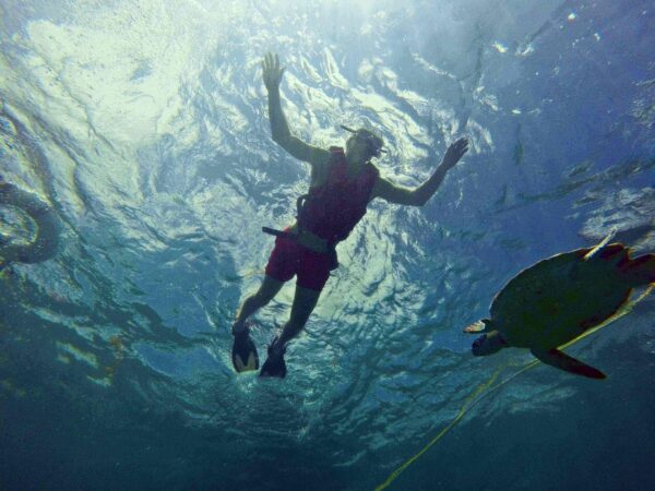 Snorkeling Adventure