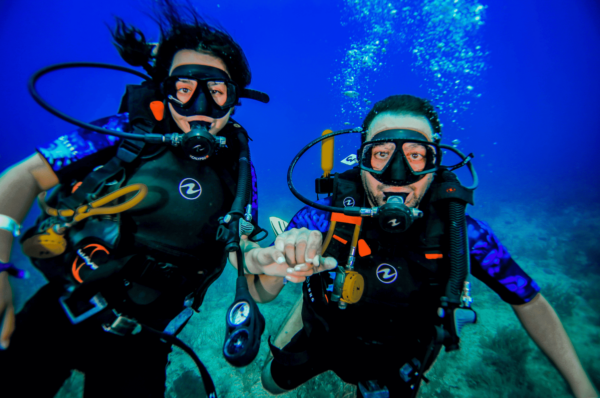 Snorkeling Night Wisest Experience
