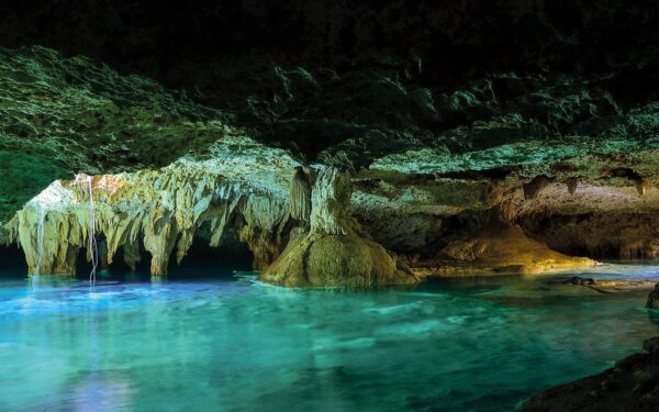 Wisest Tour Cenote