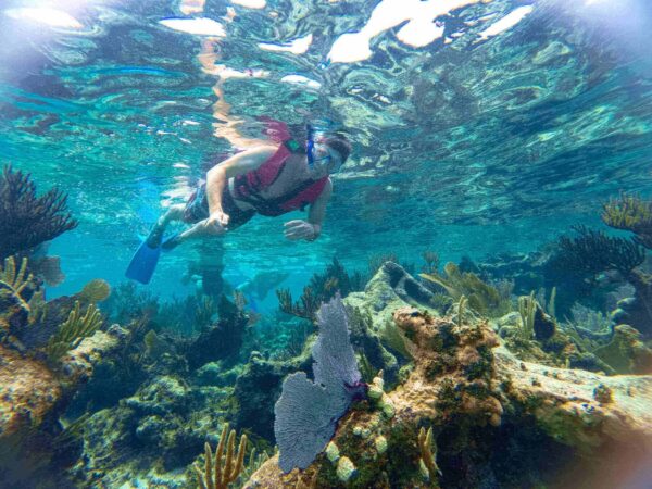 Adventure In Puerto Morelos