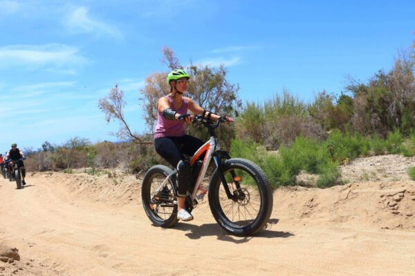 Bicycle Tour By Baja California Desert