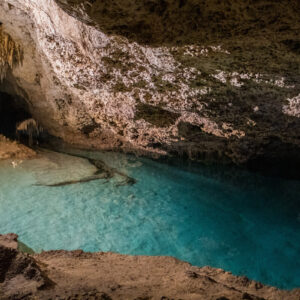 Cenote Adventure