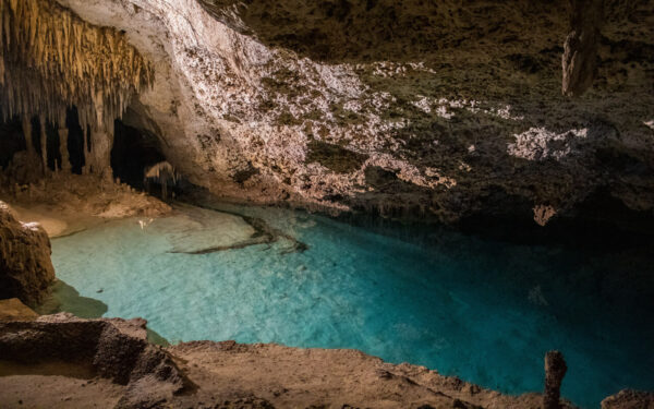 Cenote Adventure