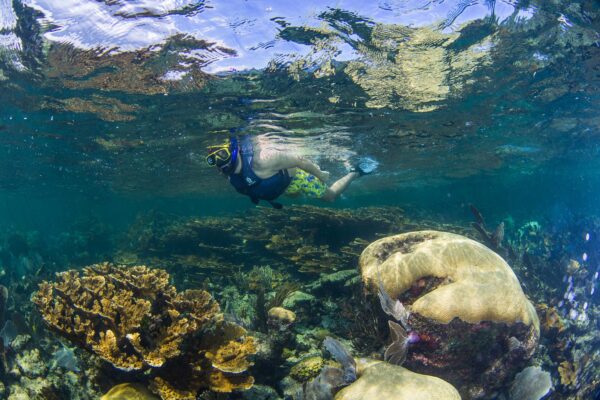 Puerto Morelos Discovering